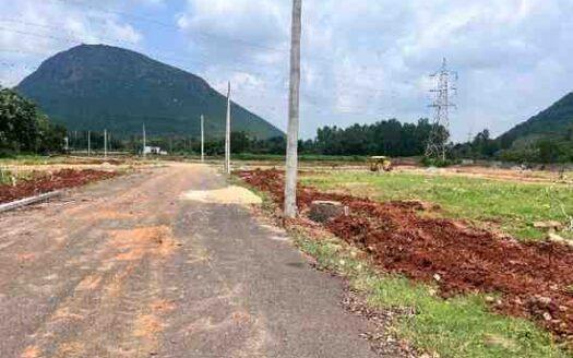 Prime Open Plot for Sale in Sontyam, Visakhapatnam